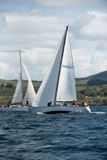 windthrift 9602y whyw22 thur 750_4235yi